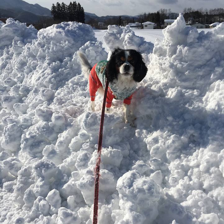 Cc9075f6 fcd4 42a2 94f4 3a83325eaf11 1518655796372