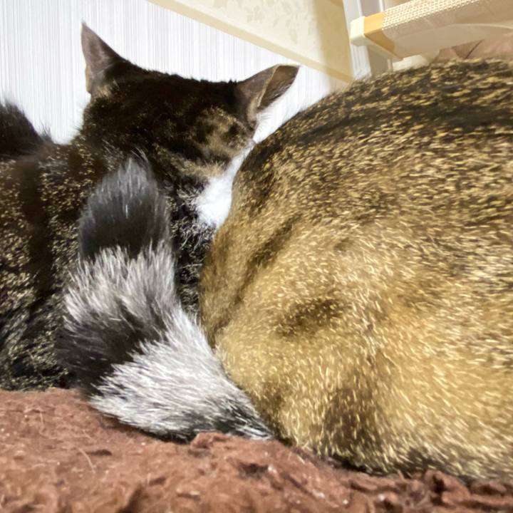 Cc90883f 730b 486f 8d90 df5ca0cdfe44 1676995273789