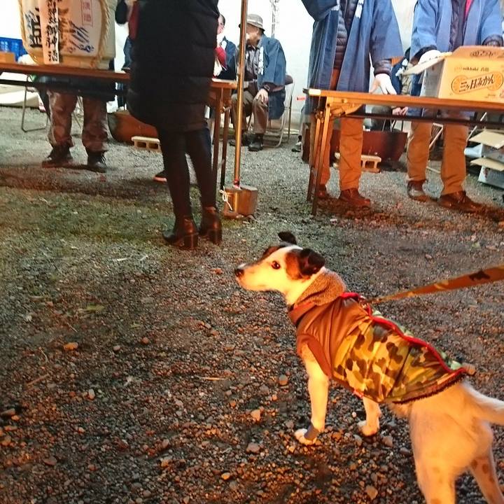 Cc909000 287d 4b86 a9e8 72027e9f9a27 1546274554101