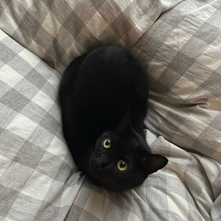 Cc9096d3 356c 49c3 9e8e bcbc96add034 1701389918228