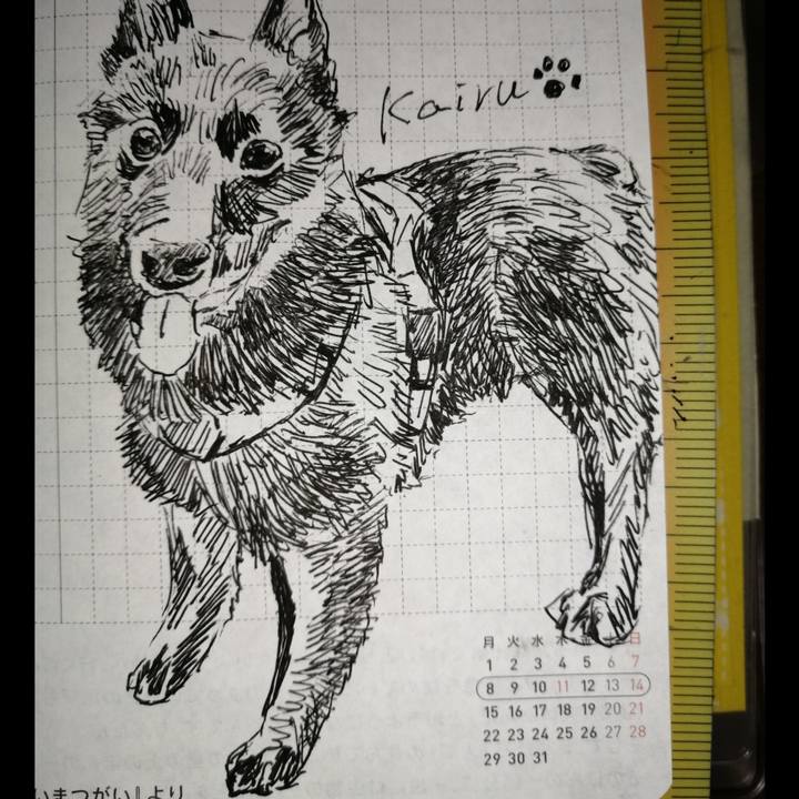 Cc909c3d faed 4756 a99f 68c1d7e0e68b 1660517961936