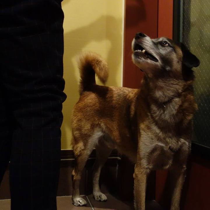 Cc90e29b 91eb 413c a01b 06a668ad6c15 1509707191696