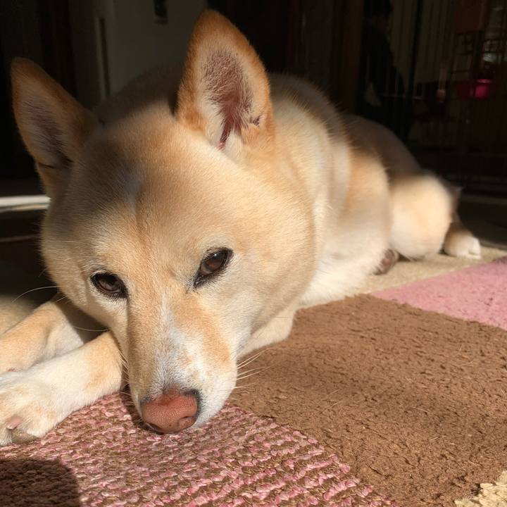 Cc90e786 a994 49bc b0dc 4af9e359b121 1643335156775