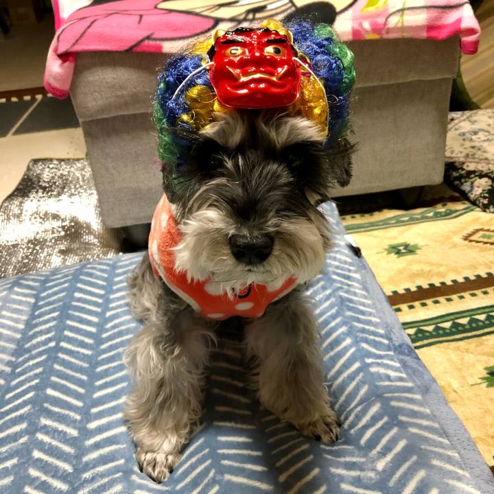 Cc91036c ef60 44fd b2d4 7d2f66d79097 1675426614492