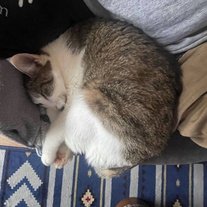 Cc910e69 811c 4812 bfd3 22d4baa6142c 1628401059430