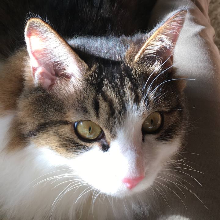 Cc9144da b471 4eb0 9539 19b278c92382 1517644131410