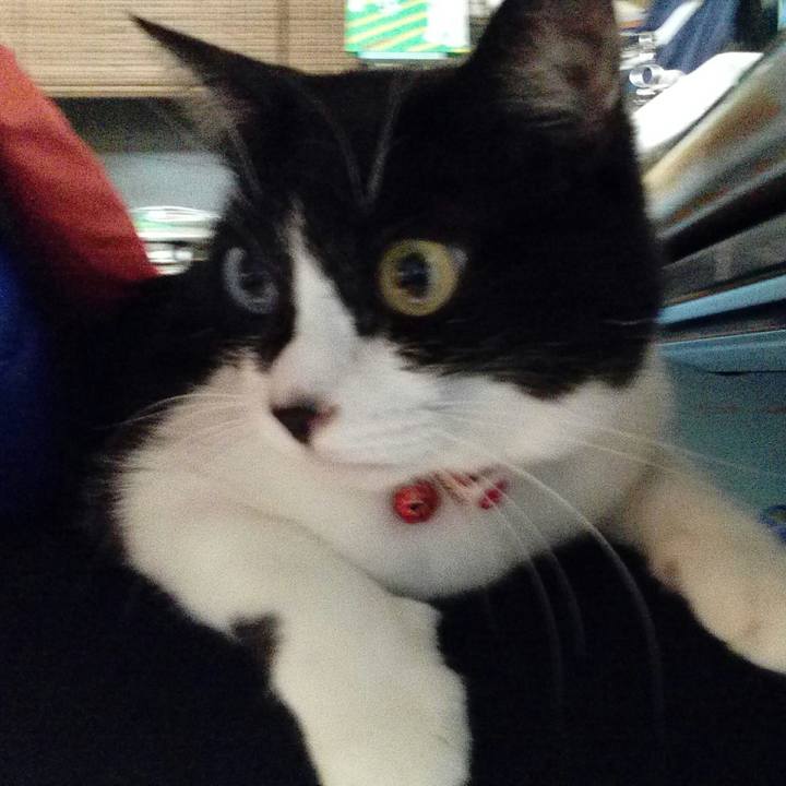 Cc914f7f cb5f 4ae6 b28b 8276bad976a1 1512482631654