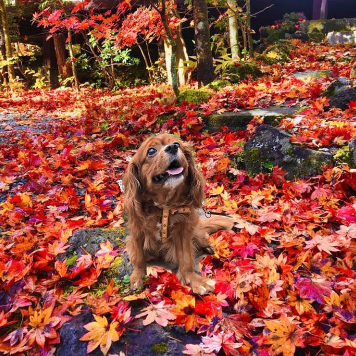 Cc915d04 27c1 4d13 bb2b d932c7a98522 1636123164152