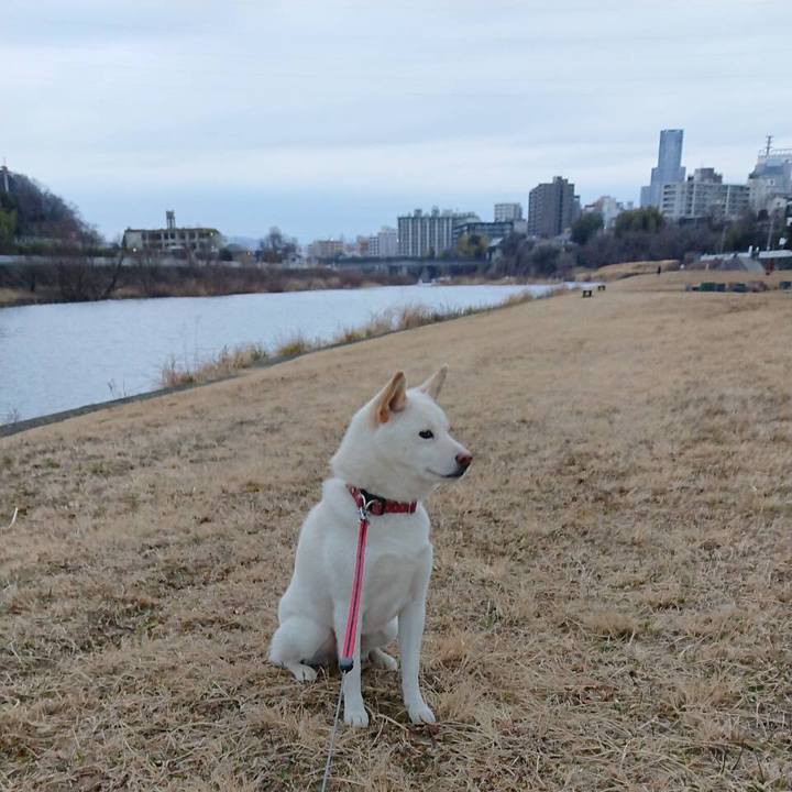 Cc91764d 22f4 451e b50d 8a8b14531e80 1549202877171