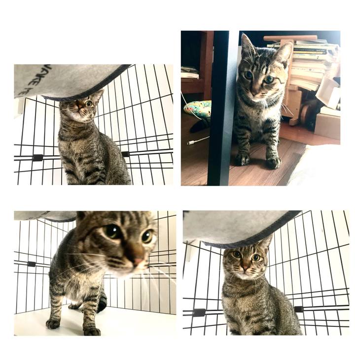 Cc91c0ce 5775 4461 9c68 bb92ef06dac6 1655005084907