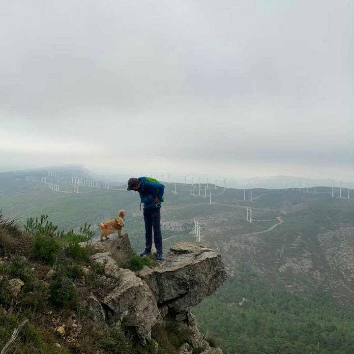 Cc91fa48 7151 4fa2 aa63 399728507834 1575071044460