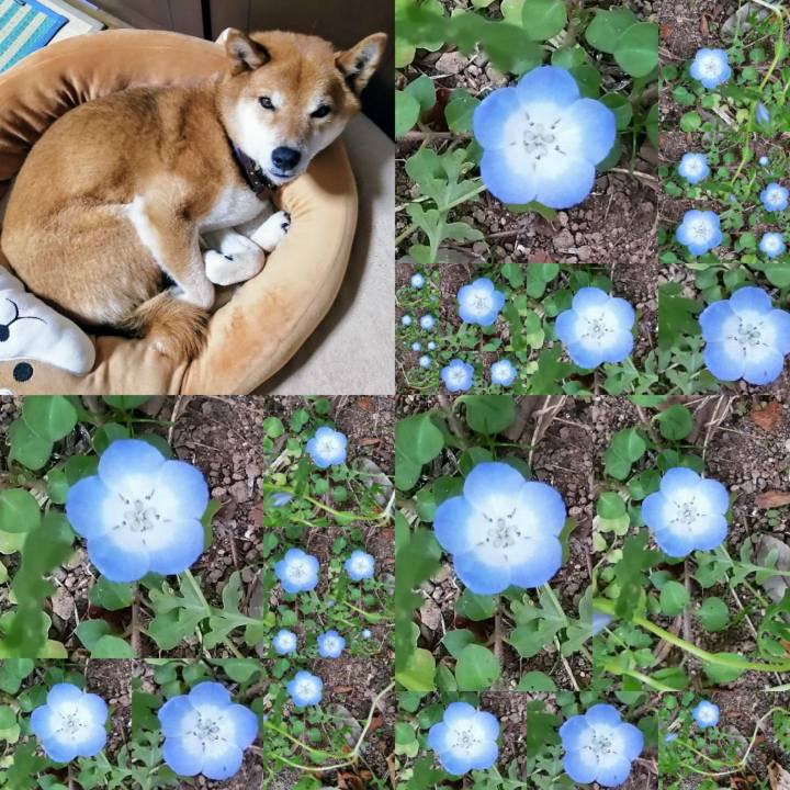 Cc920bd6 501a 48f9 9d73 6a6585b32c2b 1618139189210