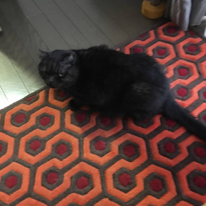 Cc920d95 643e 450e 9742 4e6b5375f8b4 1553294302604