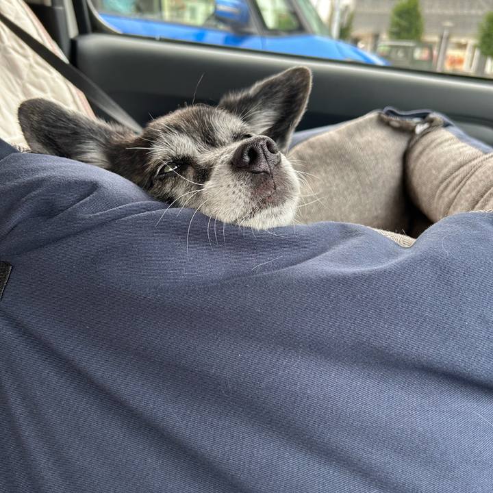 Cc921252 5254 4973 94e4 b15f0e7e6506 1720946242372