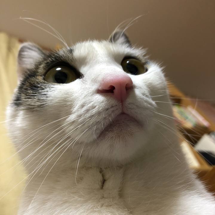 Cc921c03 4f6b 432c 830d 62d3b89bc1e0 1610287928910