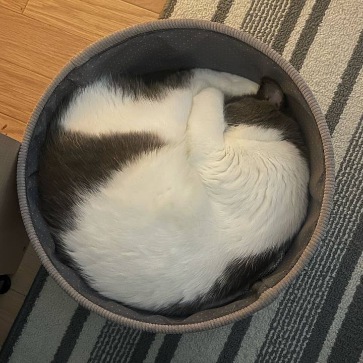 Cc925032 224a 4642 83de 98feb095b611 1733049875285