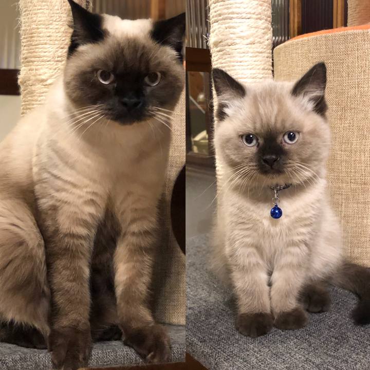 Cc927e15 3209 4d0d 92c7 ad92f47611f1 1605708311982