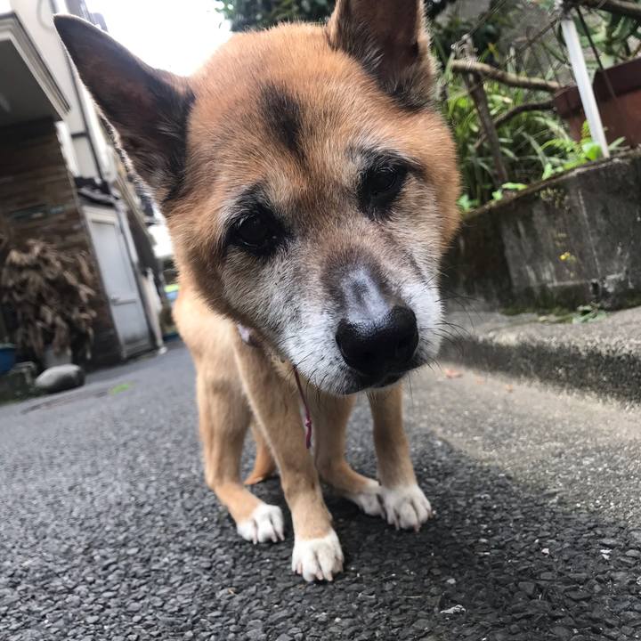 Cc929b1b 12be 4903 b914 0d856272d663 1557871813246