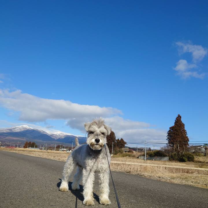 Cc92a4e2 250e 461c 925c 37492b09828a 1771293280690