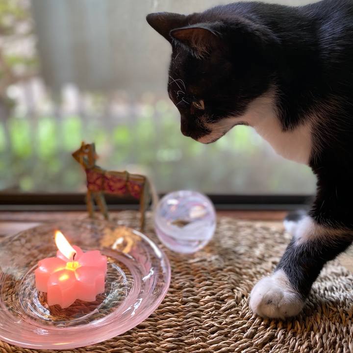 Cc931942 b9f3 4a0c b15a b2ee76bba0a5 1597302749251