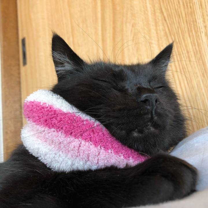 Cc931c7c 22f4 4154 a98e ea657a96a6e2 1587456734156