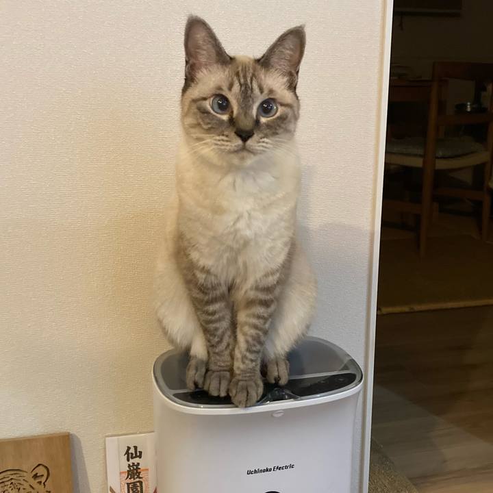 Cc93bb91 79ad 47a2 9728 813d287a0185 1630233763691