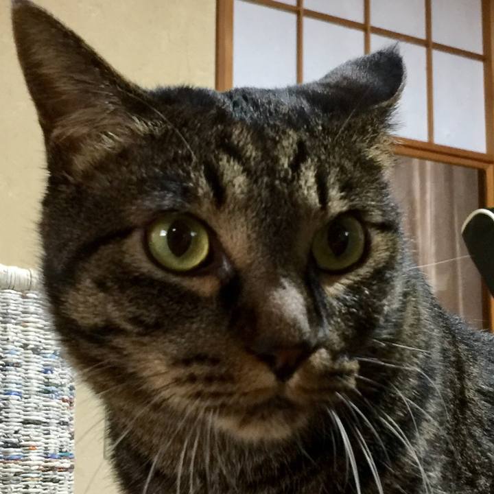 Cc93d8ca 7787 4d4e 903a a289349c54af 1576062315120