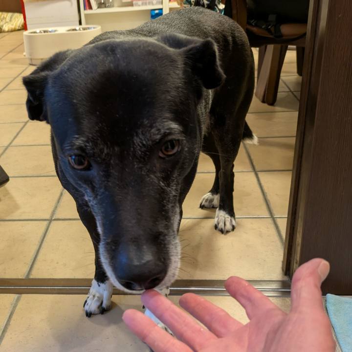 Cc93e1f9 f333 4c1f a763 7c82e78f2617 1748079772515