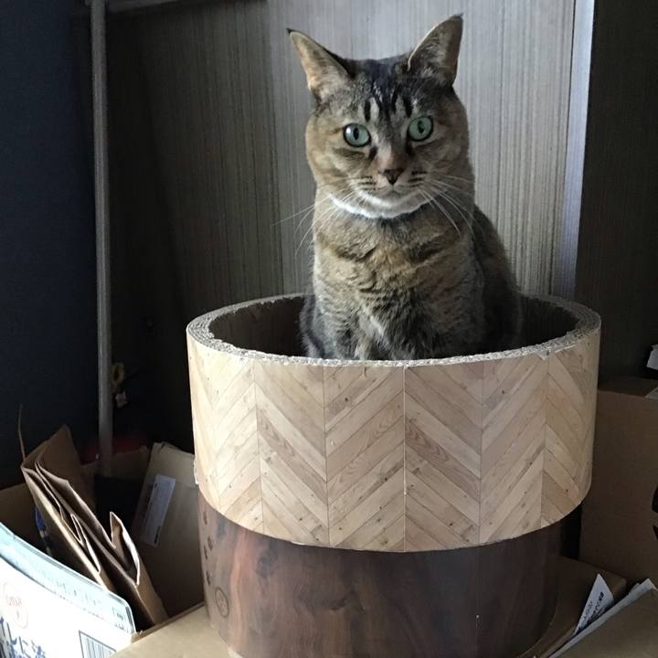 Cc9479e6 d7df 41a2 823e 35ba29e84f04 1746861713257