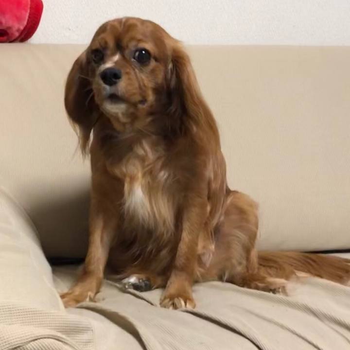 Cc947b49 2a36 4ec8 a003 caa1c1ec40c6 1546948121667