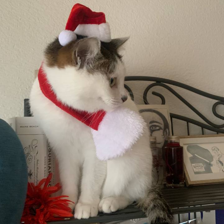 Cc947d93 d902 4b51 8e47 f19349f3d44d 1703569296348