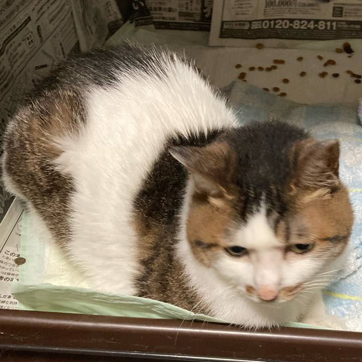 Cc94e2a2 0ba6 464c a6ff e83df9f33bf9 1692352772753