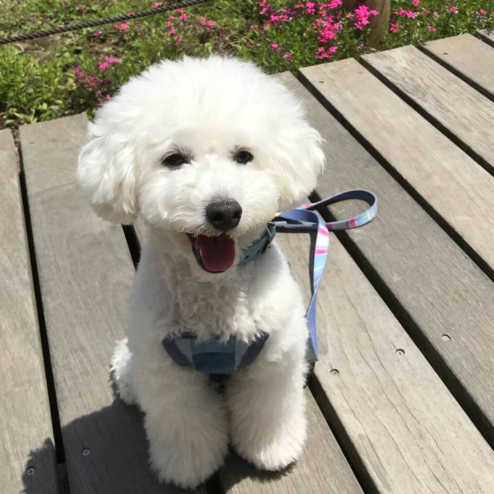 Cc954ae0 5bac 4a77 9587 ee783b3f6d17 1529224175321