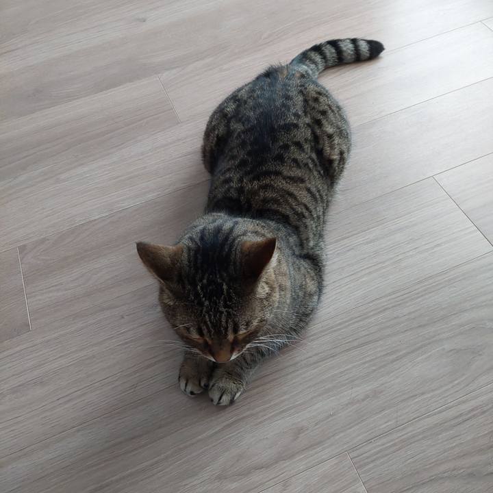 Cc95c179 75b2 4bf1 bdd9 e5cb2edf8e9e 1656721853036