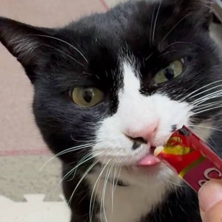 Cc95cf8c d66b 4b2e ba93 abb5dc35b823 1770560912070