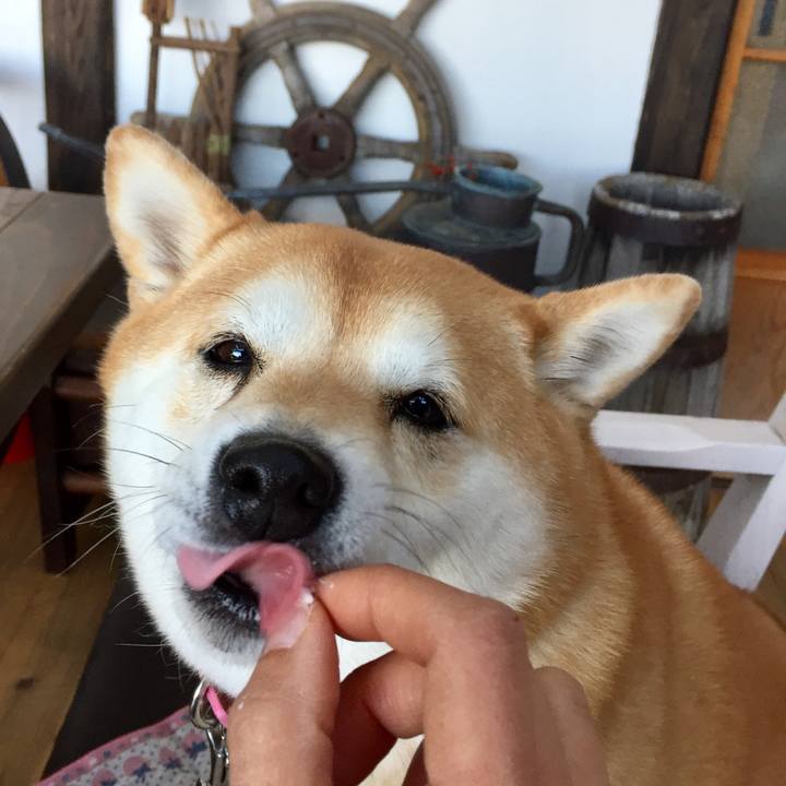 Cc95d984 facd 4150 a853 ef5e6952ffaf 1547609805142