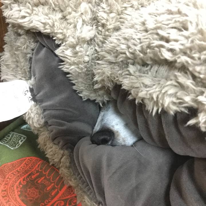 Cc95e793 446b 474c b797 82d638e94afb 1517234883909