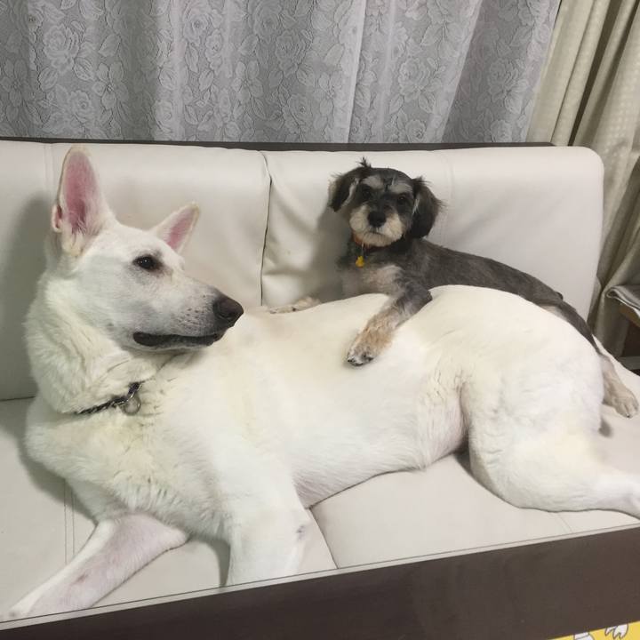 Cc9601d0 44a3 4920 9ac0 e02fa4088637 1564748645625