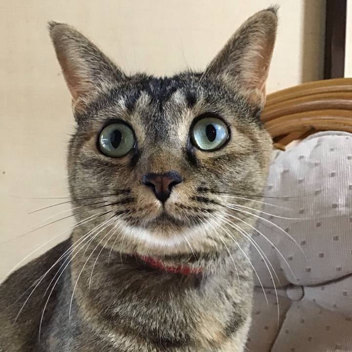 Cc960304 e744 4b16 841f 29093d04e6e0 1628762995587