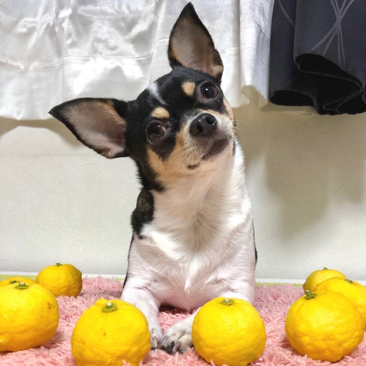 Cc96129a beec 4b2c 97cc 931413eded75 1513903927838