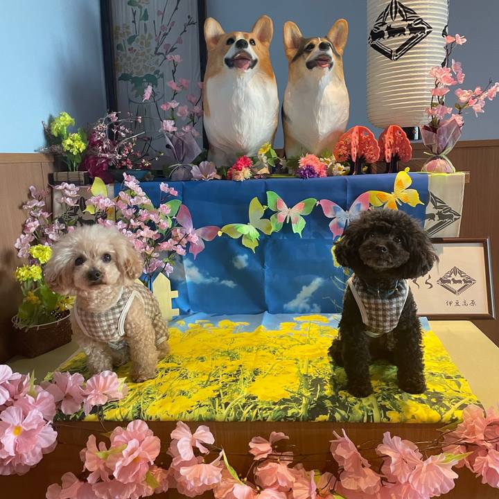 Cc965e38 6577 40c7 9c4b 70bae217749e 1678744983524