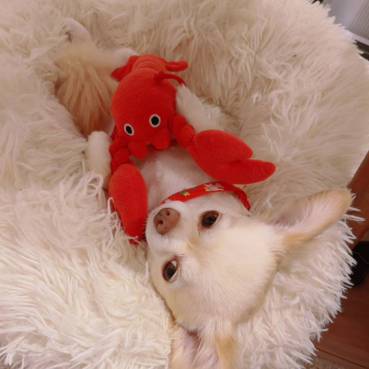 Cc96684f 3468 4a19 89fe e01a83e78096 1757130047556