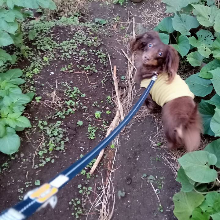 Cc96b3fc 1d37 4b48 8932 c45632418cff 1762464923724