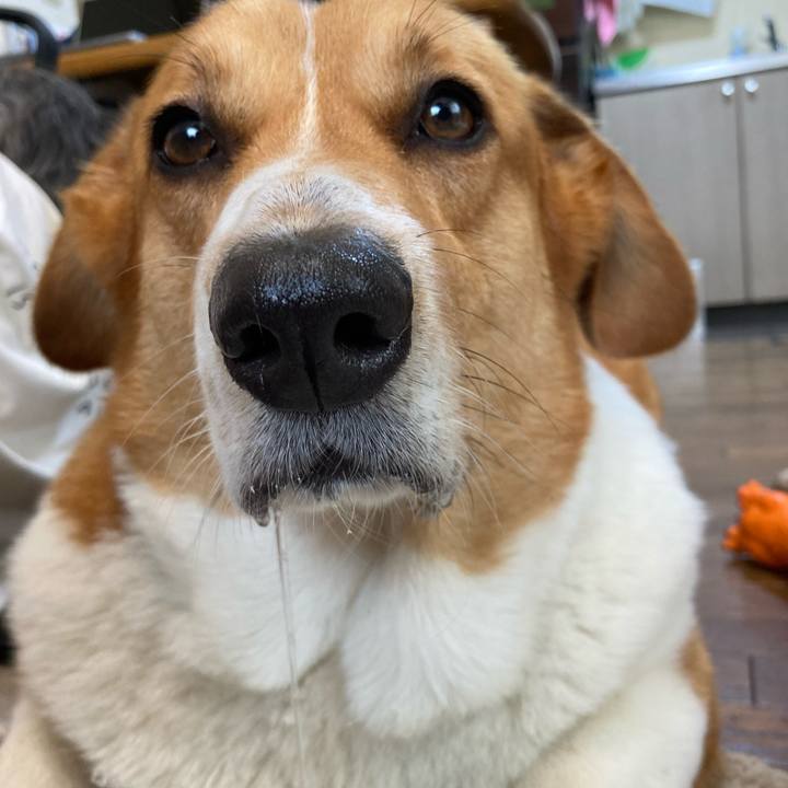 Cc96ba88 154d 4c44 b599 07a6d74b2517 1719651205724