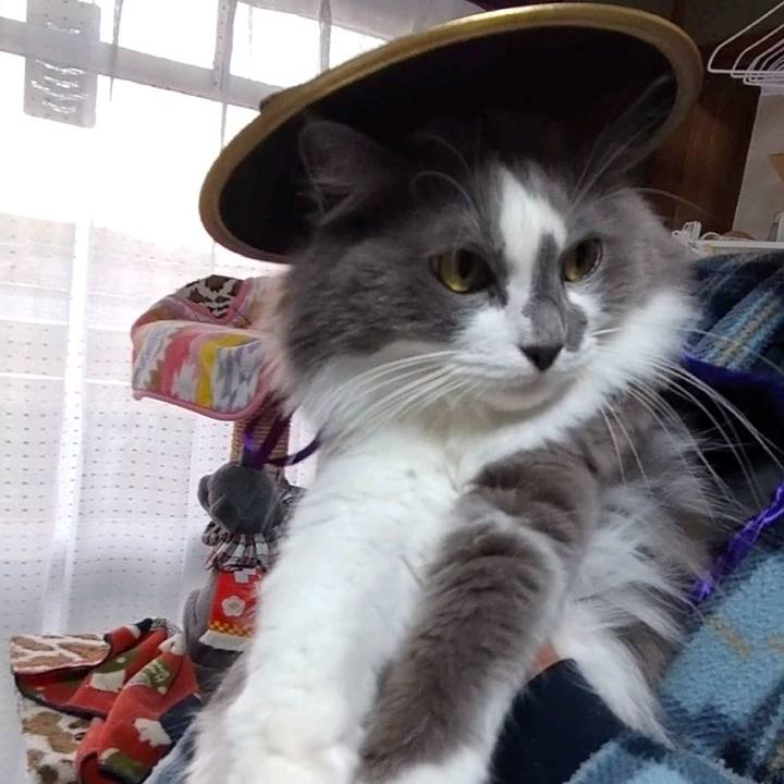 Cc97573d 37d3 4dbb b8f8 0b3b76020569 1635060420243