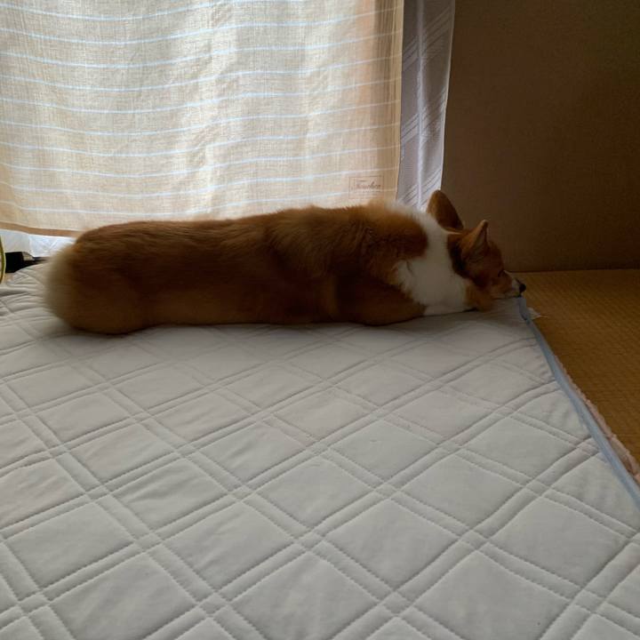 Cc9770d8 fada 42dd 8391 3a985b58a5e5 1625110084701