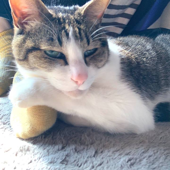 Cc9773d7 dc1f 4a59 bd4f 0e294ac62859 1582858094068