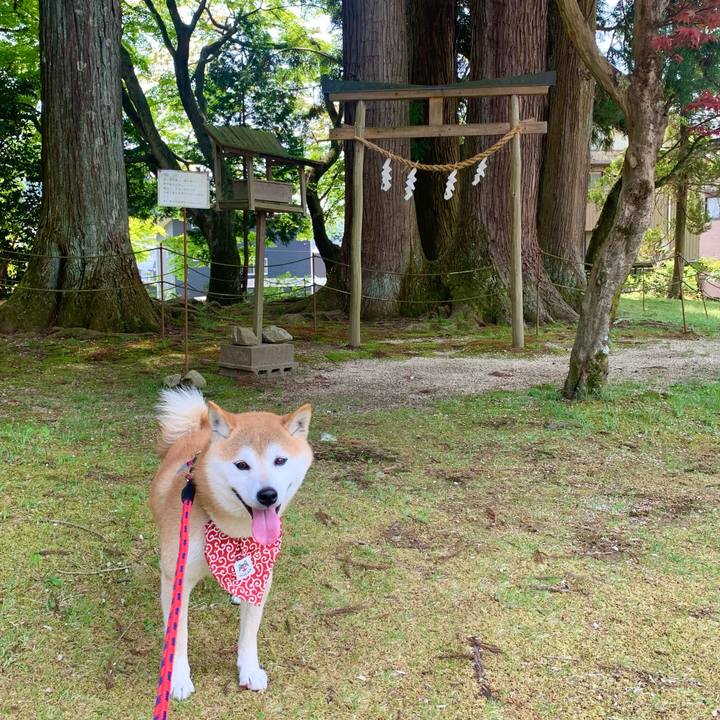 Cc9778ed cc36 408e adf2 eb655f130466 1650702919216