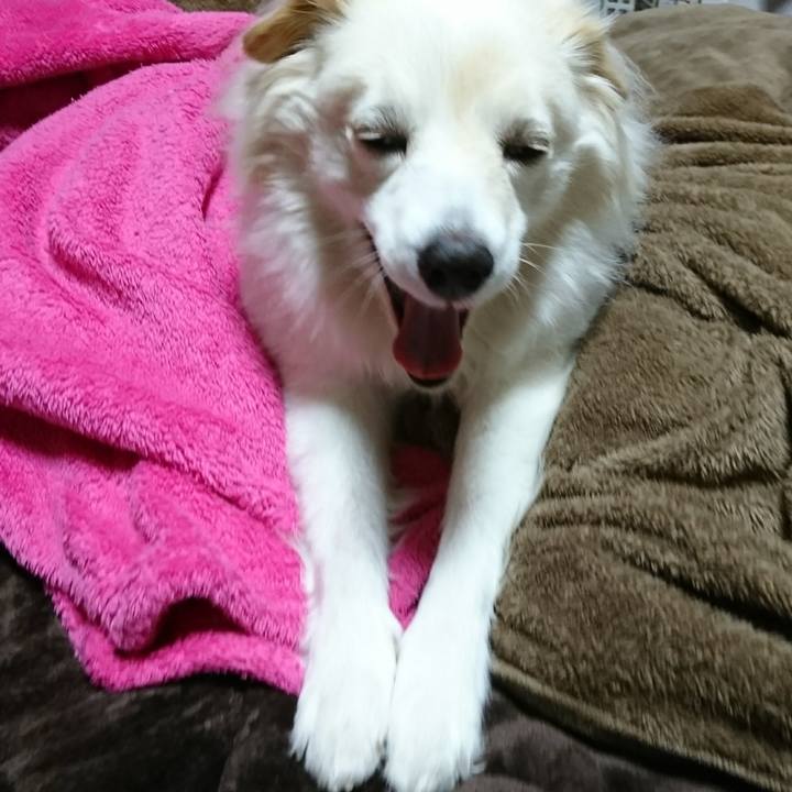 Cc979202 4cc0 4b13 b260 e68cb4f157d7 1519867582623