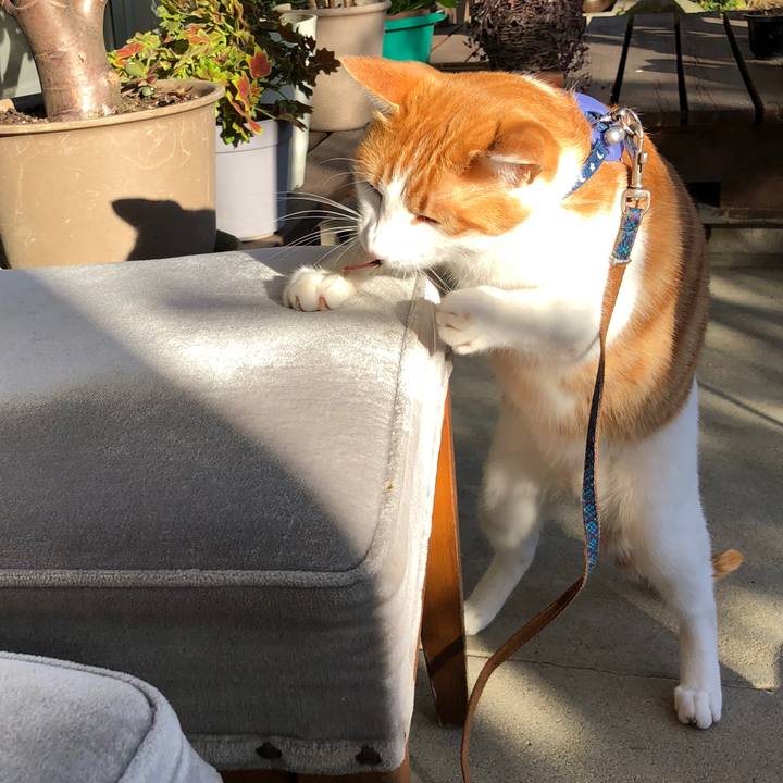 Cc979411 3ecd 4762 aad2 f01ec4b31e5f 1540794052786